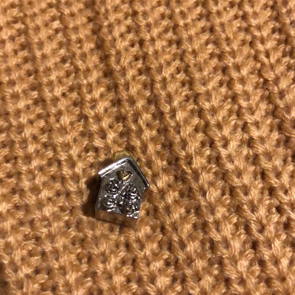 Pandora-like family home charm